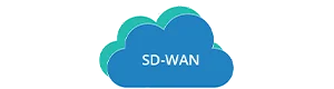 SD-WAN OSPF BGP